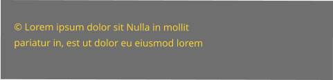 © Lorem ipsum dolor sit Nulla in mollit pariatur in, est ut dolor eu eiusmod lorem